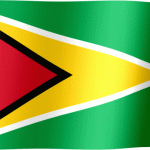 GUYANA FLAG