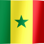 SENEGAL FLAG